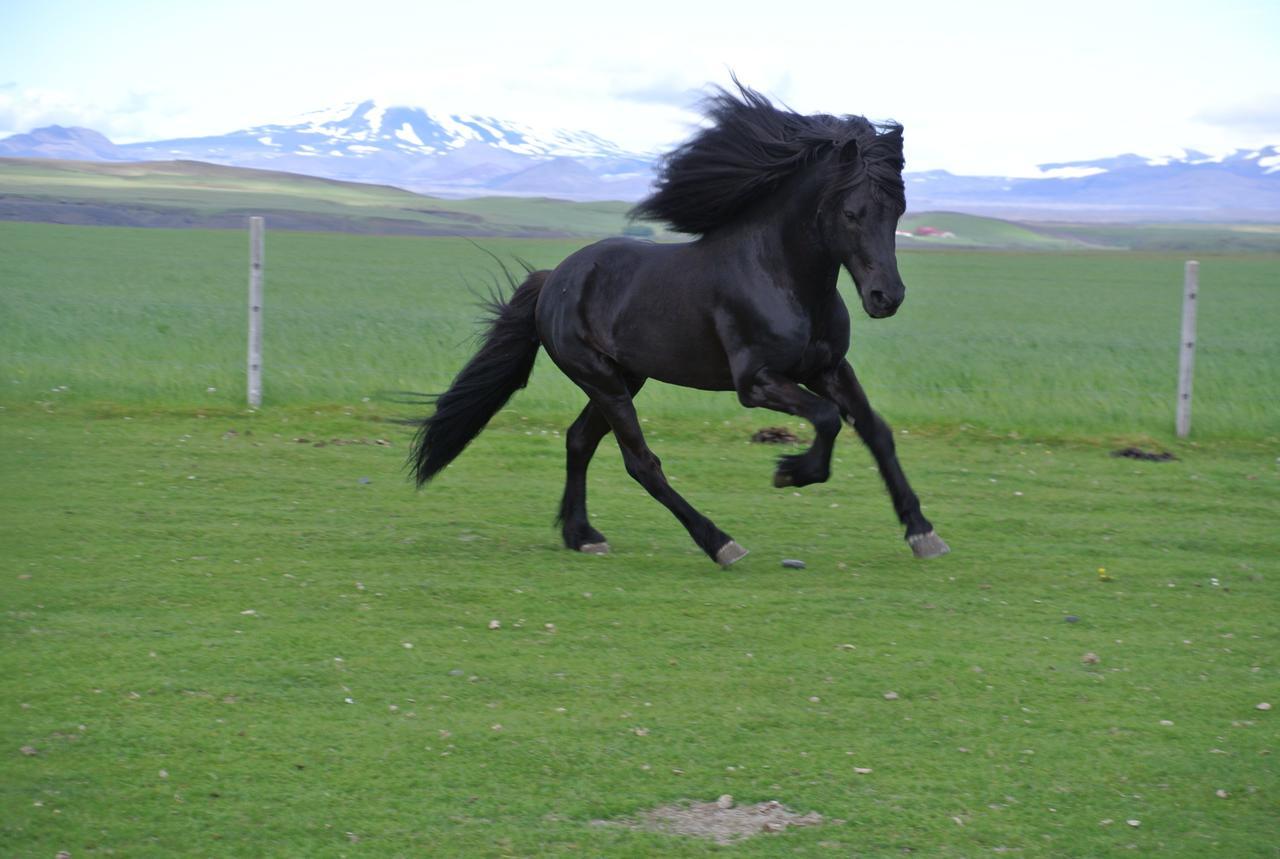 Vila Hekla Adventures Hvolsvöllur Exteriér fotografie